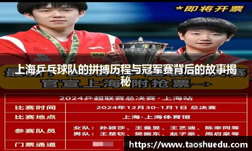 上海乒乓球队的拼搏历程与冠军赛背后的故事揭秘