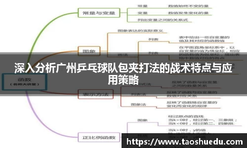 深入分析广州乒乓球队包夹打法的战术特点与应用策略