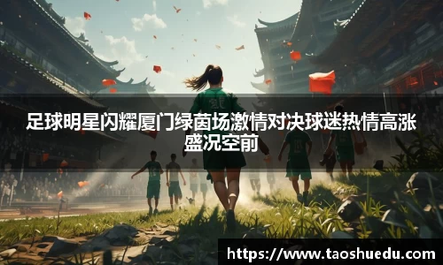 足球明星闪耀厦门绿茵场激情对决球迷热情高涨盛况空前