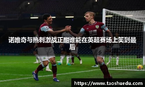 诺唯奇与热刺激战正酣谁能在英超赛场上笑到最后